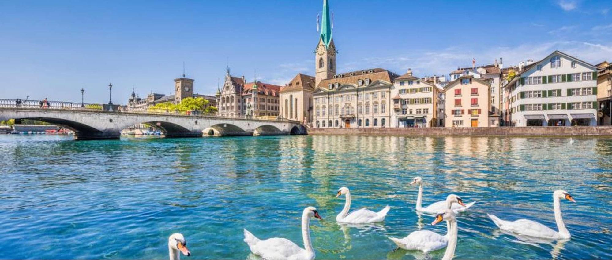 Zurich Fit Package